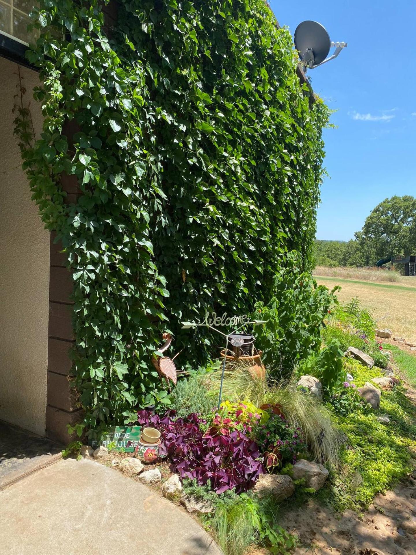 Nature Retreateclectic Country Boho Farmhouse Nocona Exterior photo